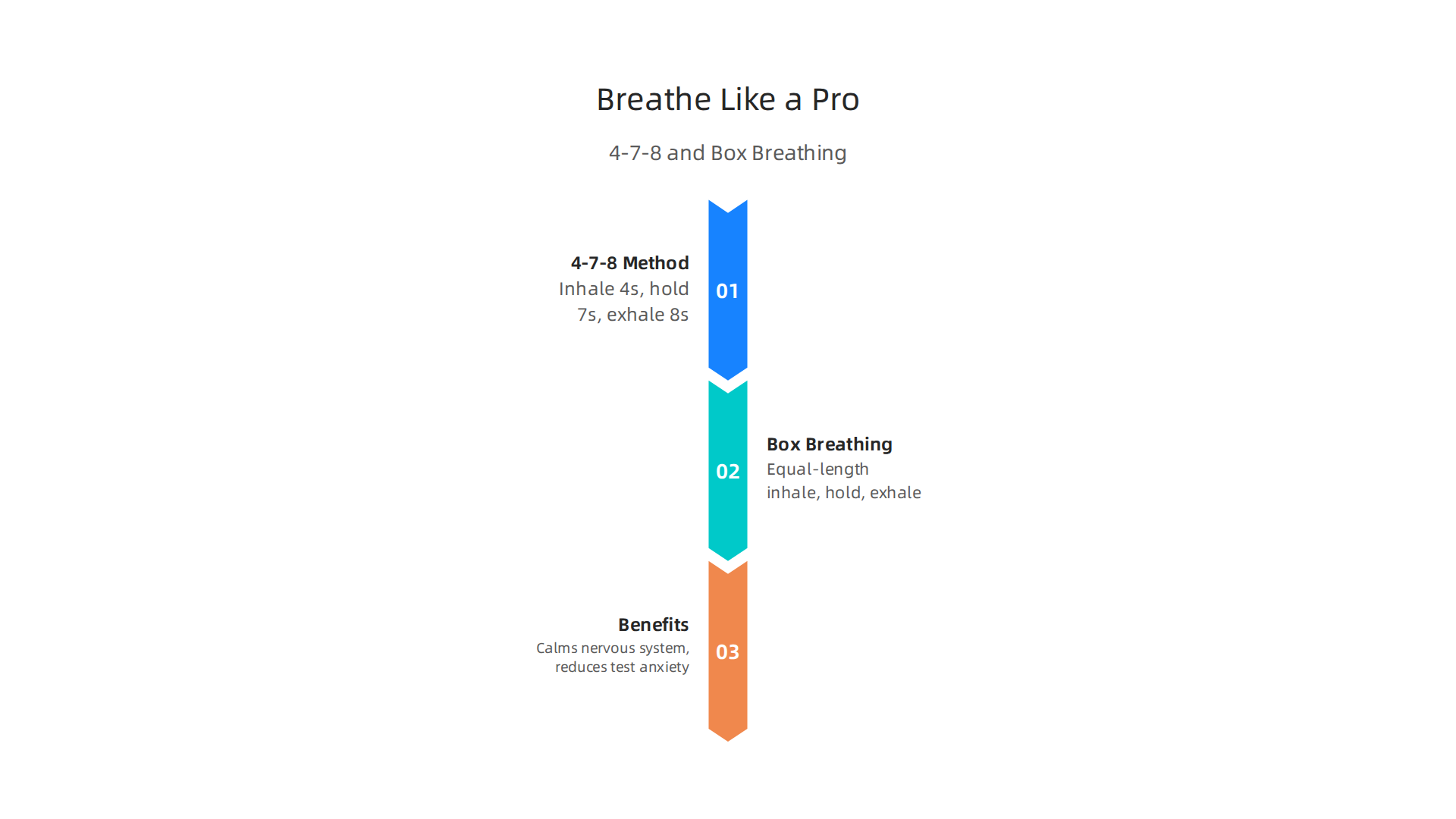 A step-by-step guide illustrating the 4-7-8 method and Box Breathing, powerful techniques to calm the nervous system and reduce test anxiety.