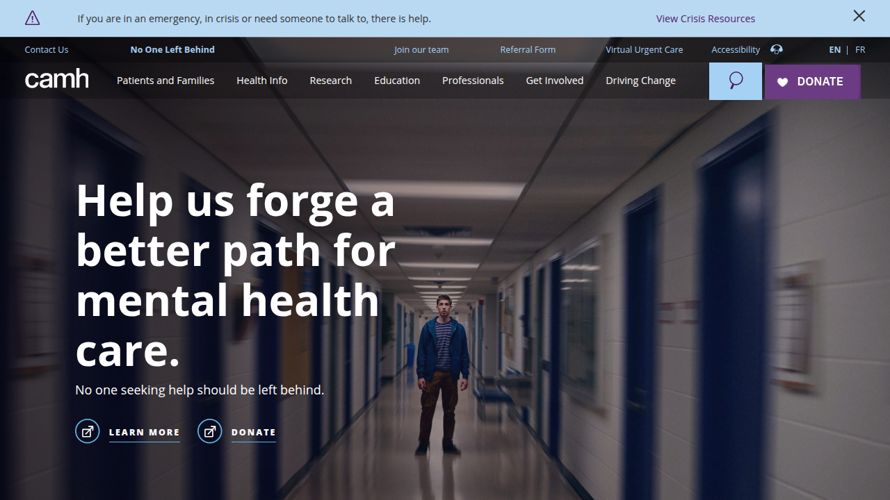 Learn about depression diagnosis and treatment resources from CAMH, a leading mental health hospital.