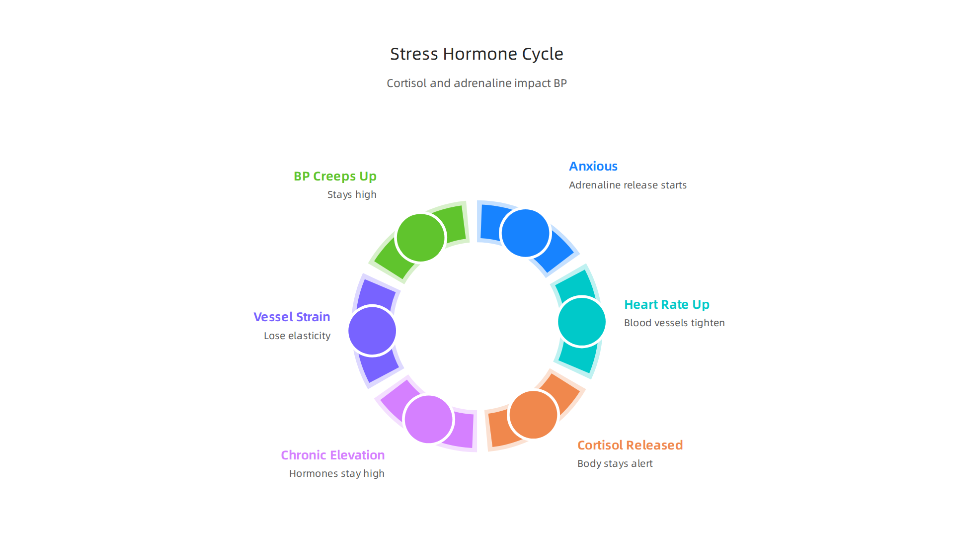 Chronic anxiety triggers a sustained release of cortisol and adrenaline, leading to increased blood pressure.