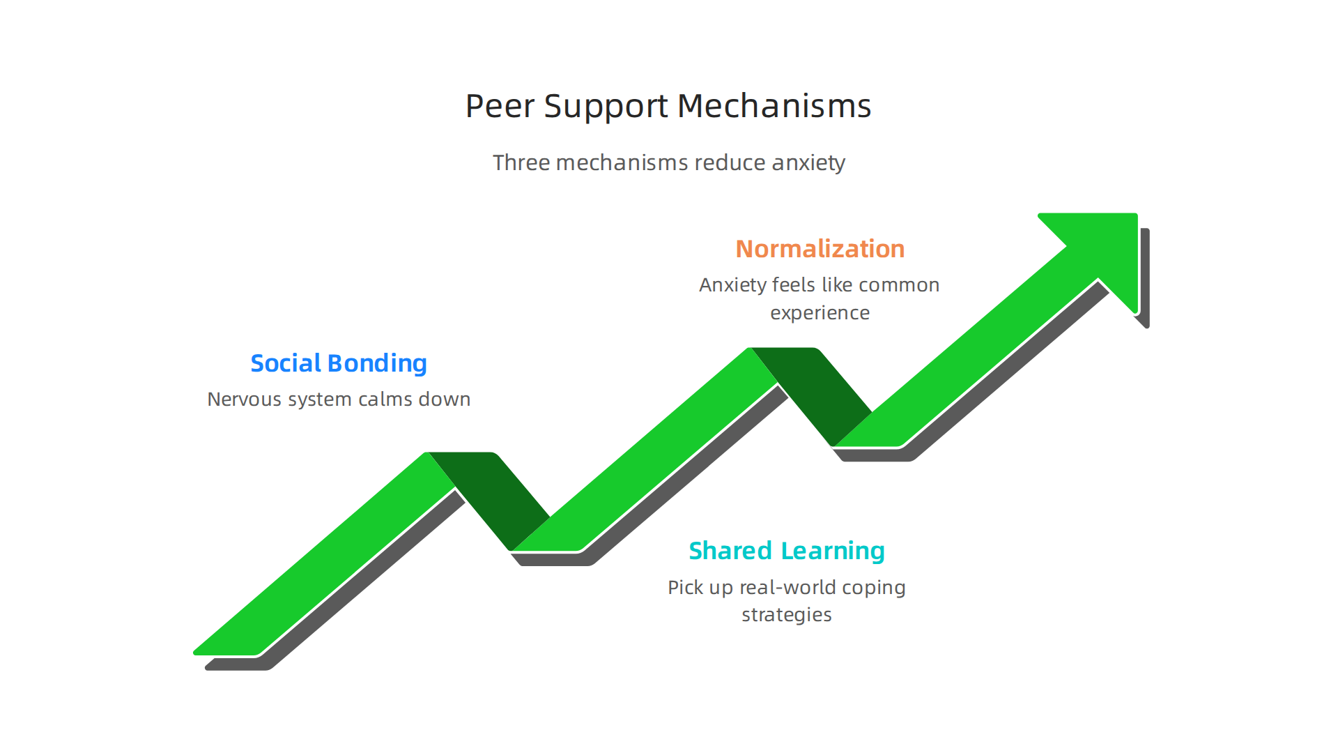 Illustrates the three primary ways peer support groups help reduce anxiety.