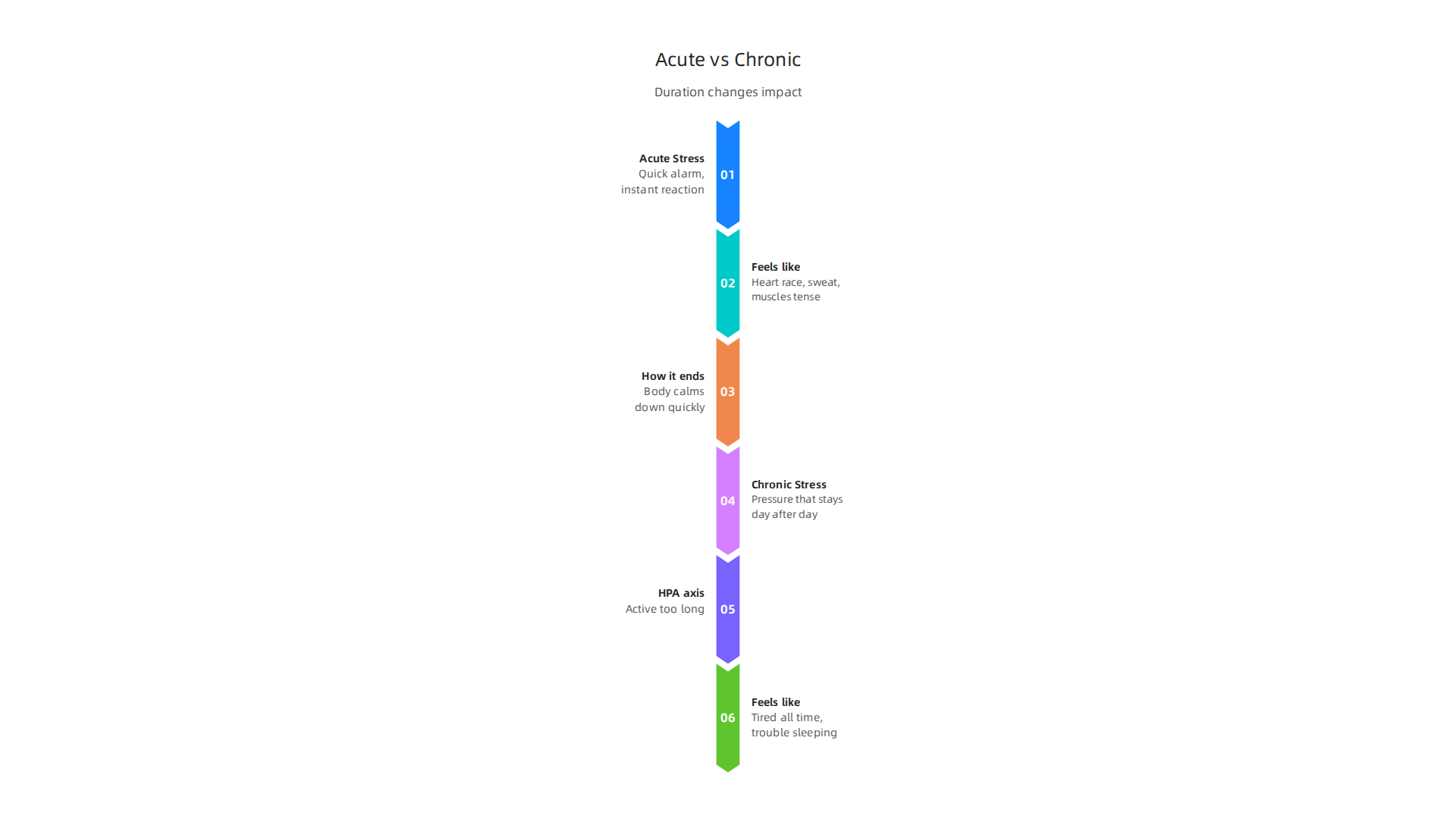 A clear distinction between acute stress, a quick alarm, and chronic stress, a long-term pressure, and their distinct impacts on well-being.